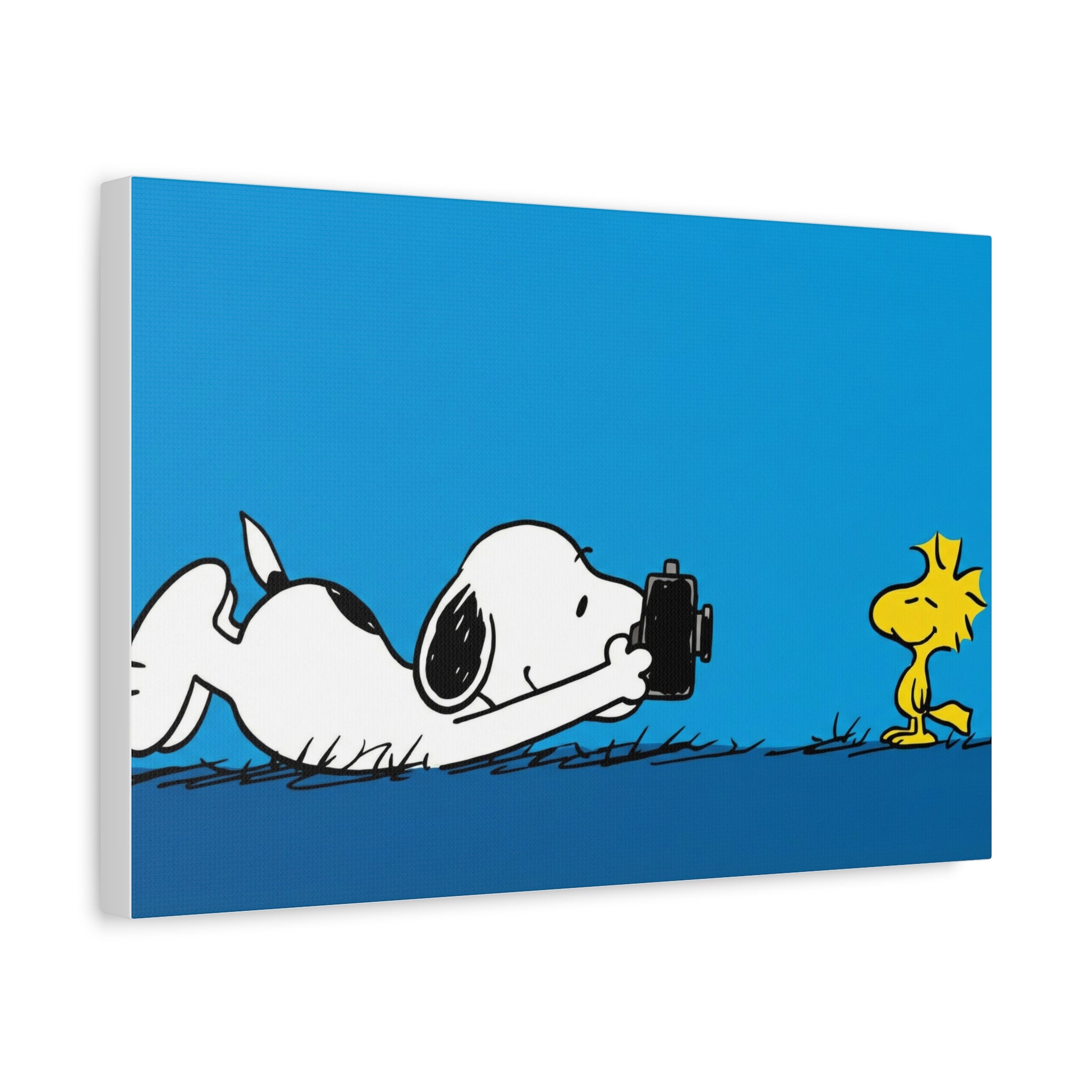 Camera Pose Canvas