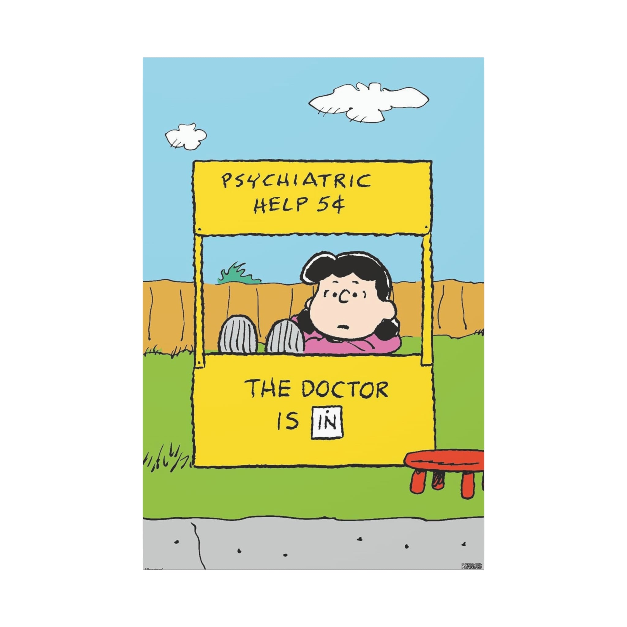 Lucy Psychiatric Help Canvas