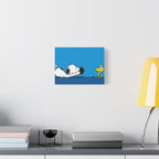 Camera Pose Canvas