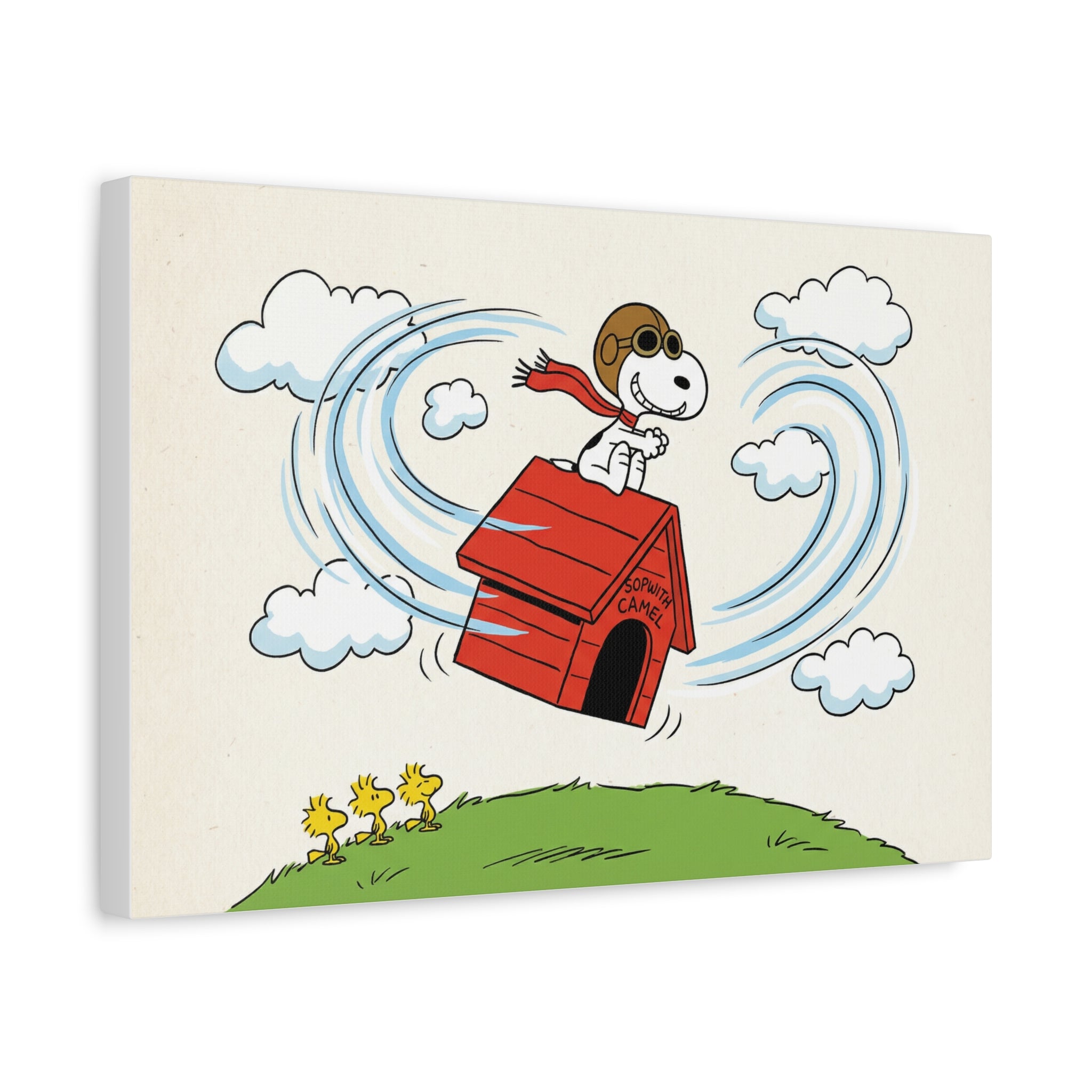 Flying Doghouse Canvas