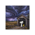 Stormy Sky Canvas