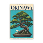Okinawa Bonsai Canvas