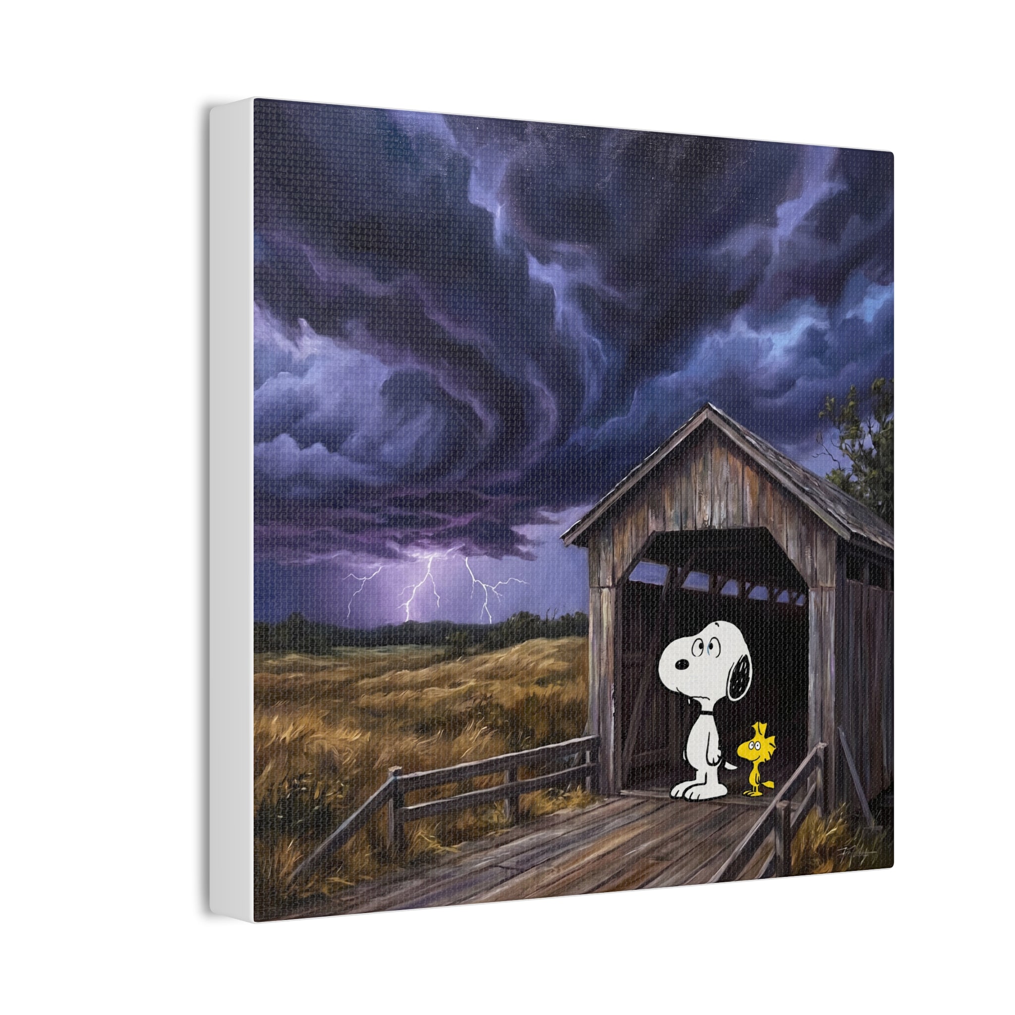 Stormy Sky Canvas